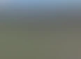 Exclusive Videos's tag thumbnail