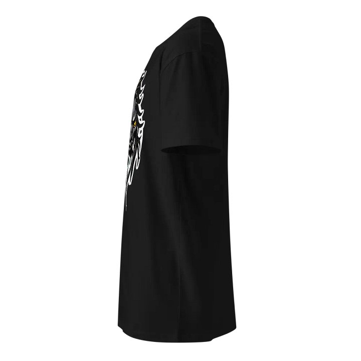 DHP Energy God Fierce Bearded Warrior Unisex T-Shirt product image (6)