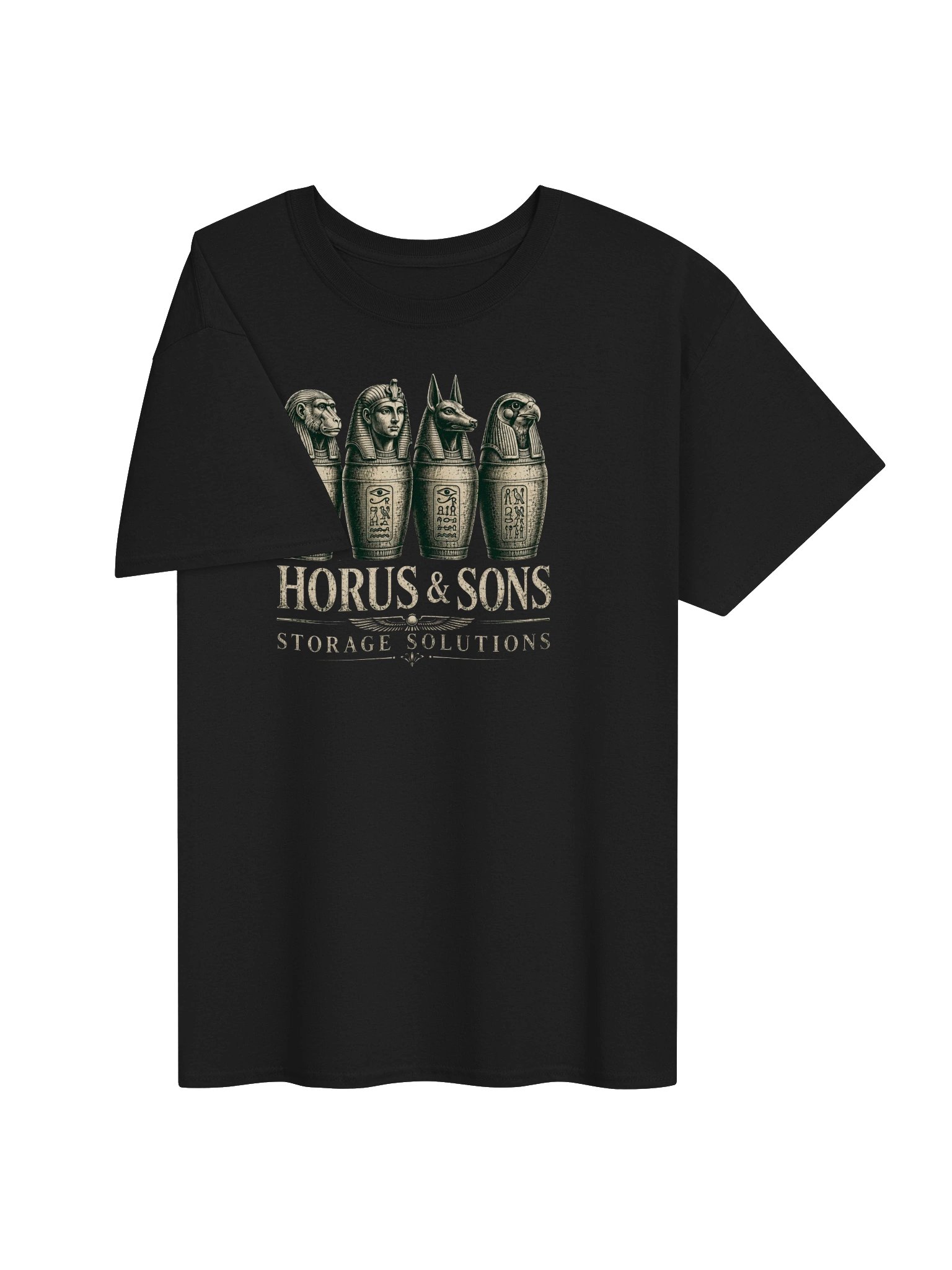 Horus and Sons Storage Solutions Ancient Egypt Humor T-Shirt, Egyptian History Gift, Ancient Egypt Graphic Tee, Funny Archaeology Shirt product image (31)