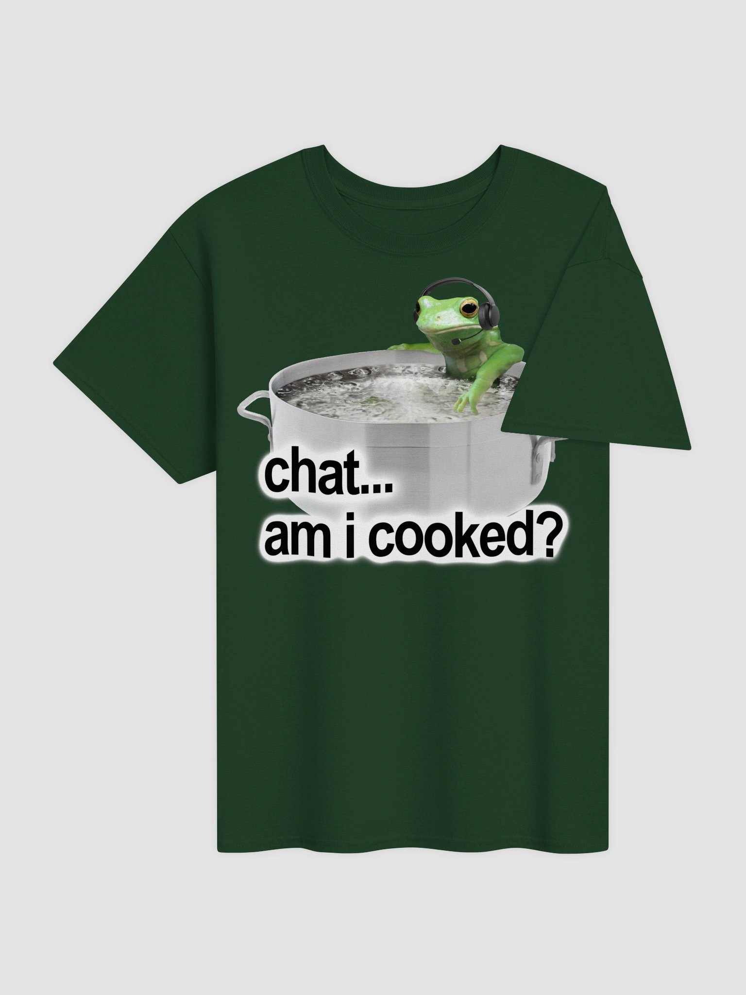 Chat Am I Cooked Frog T-shirt product image (5)