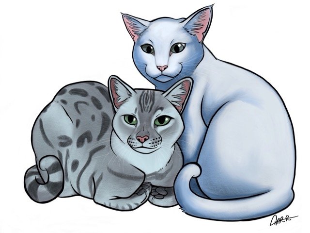 Pet Portrait Sketch (Digital Only) product image (3)