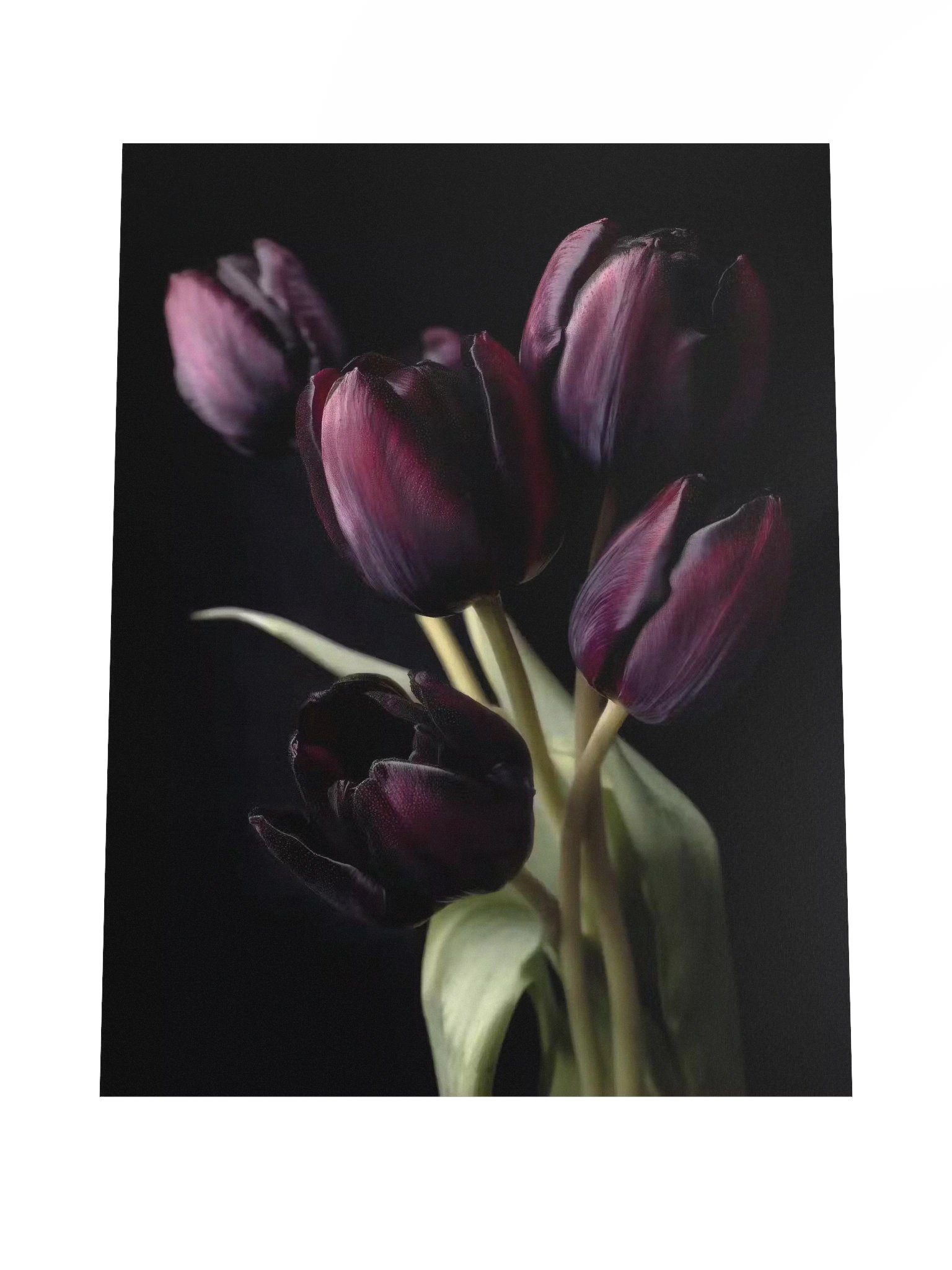 Tulips After Dusk I — Gathering in Shadow Fine Art Print product image (4)