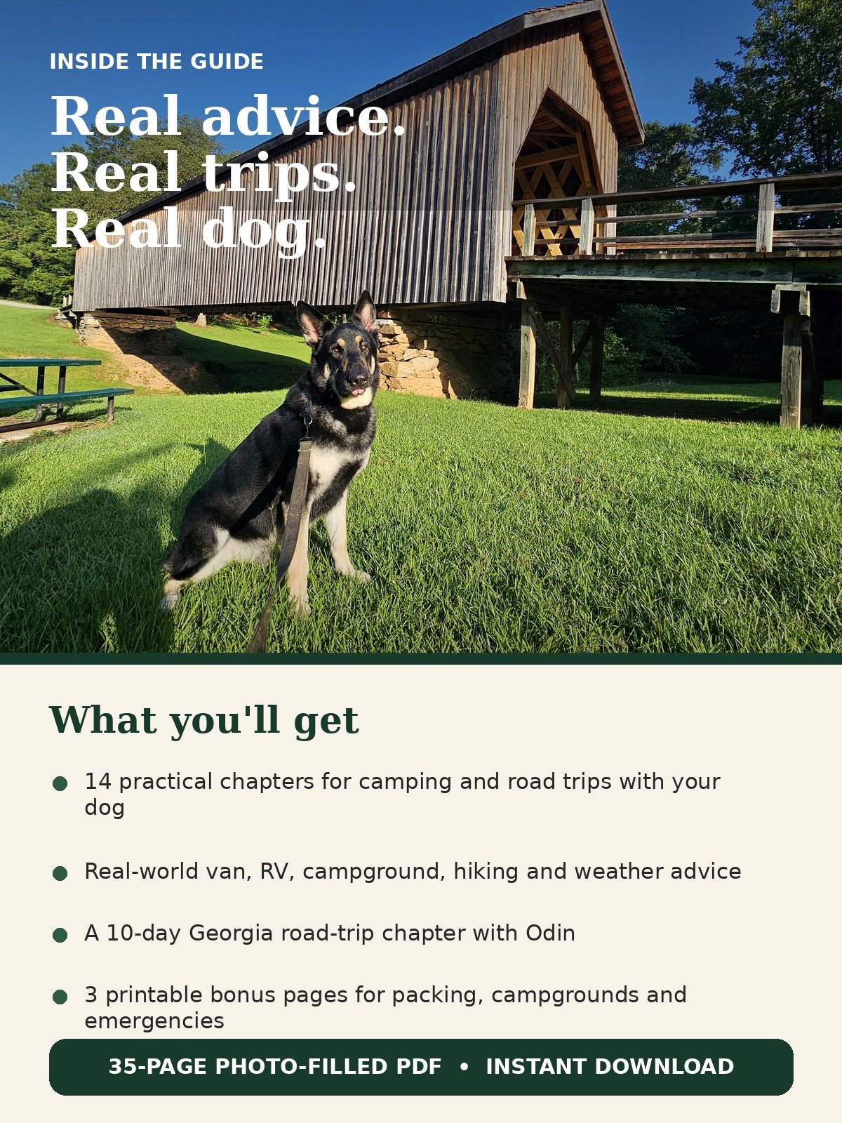 The VanDog Ventures Guide to Camping With Your Dog product image (2)
