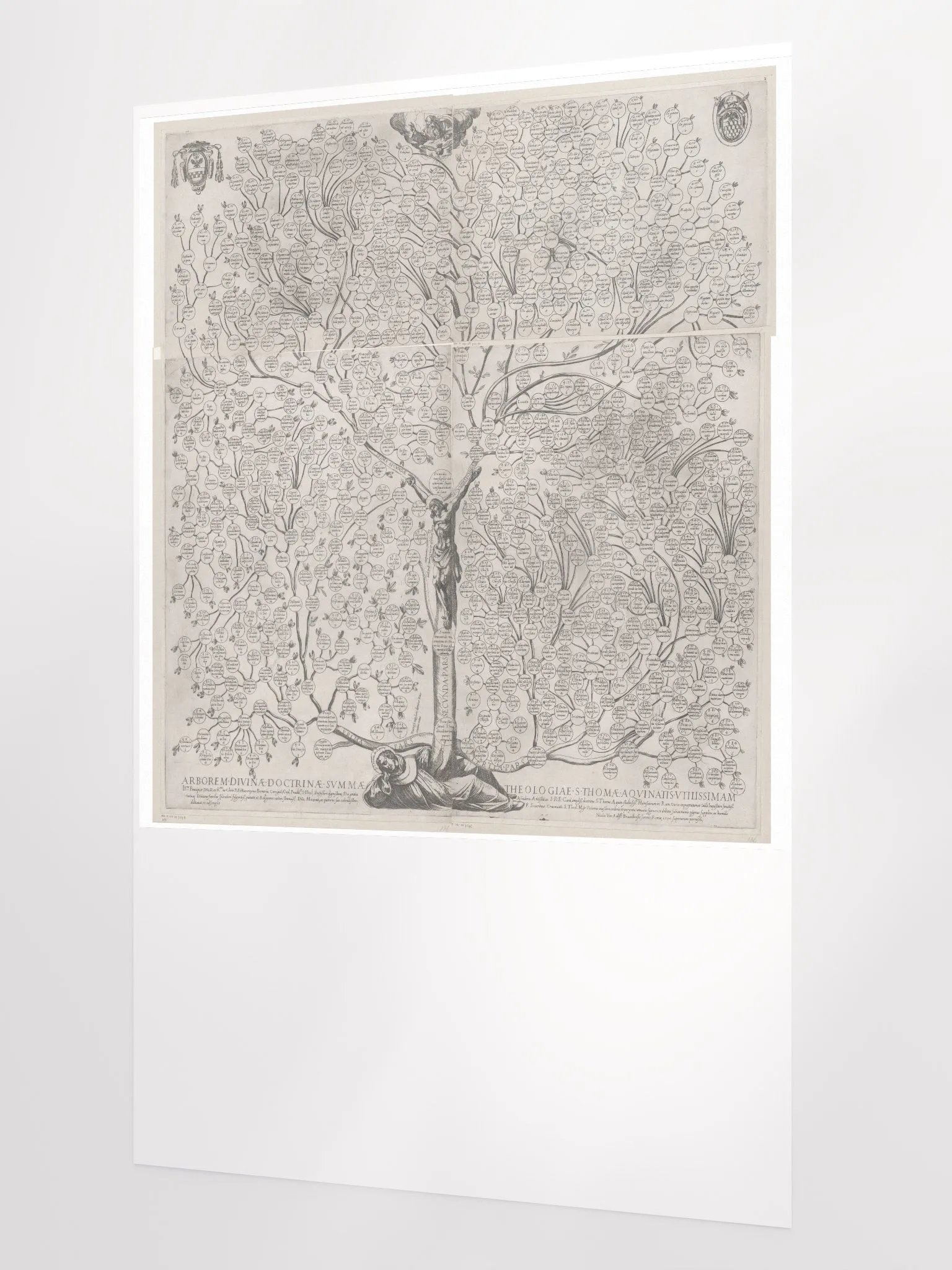 Aquinas Tree product image (2)