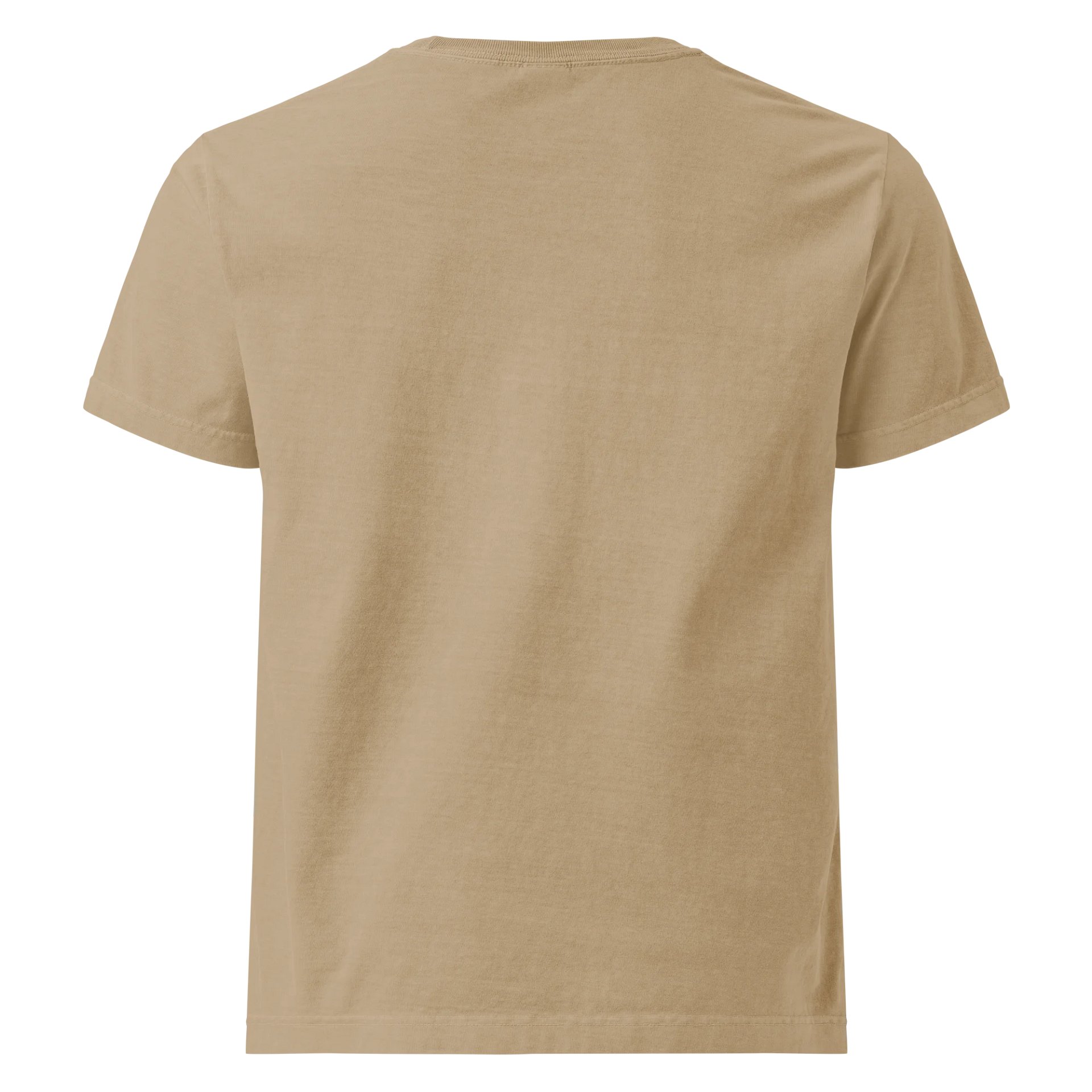 Healthy Wealthy Oversized Tee product image (2)