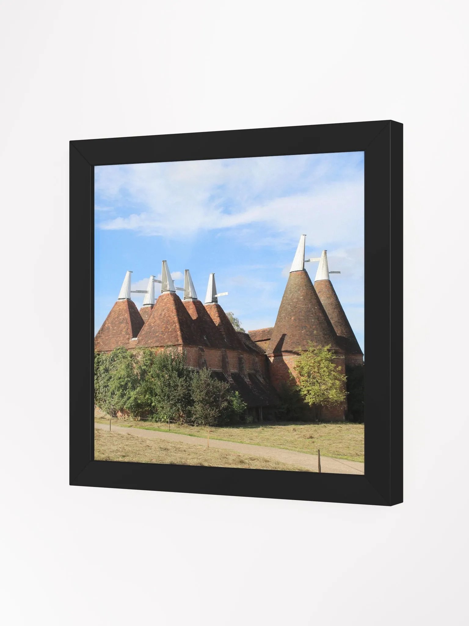 Roofscape Reverie Framed Poster product image (7)