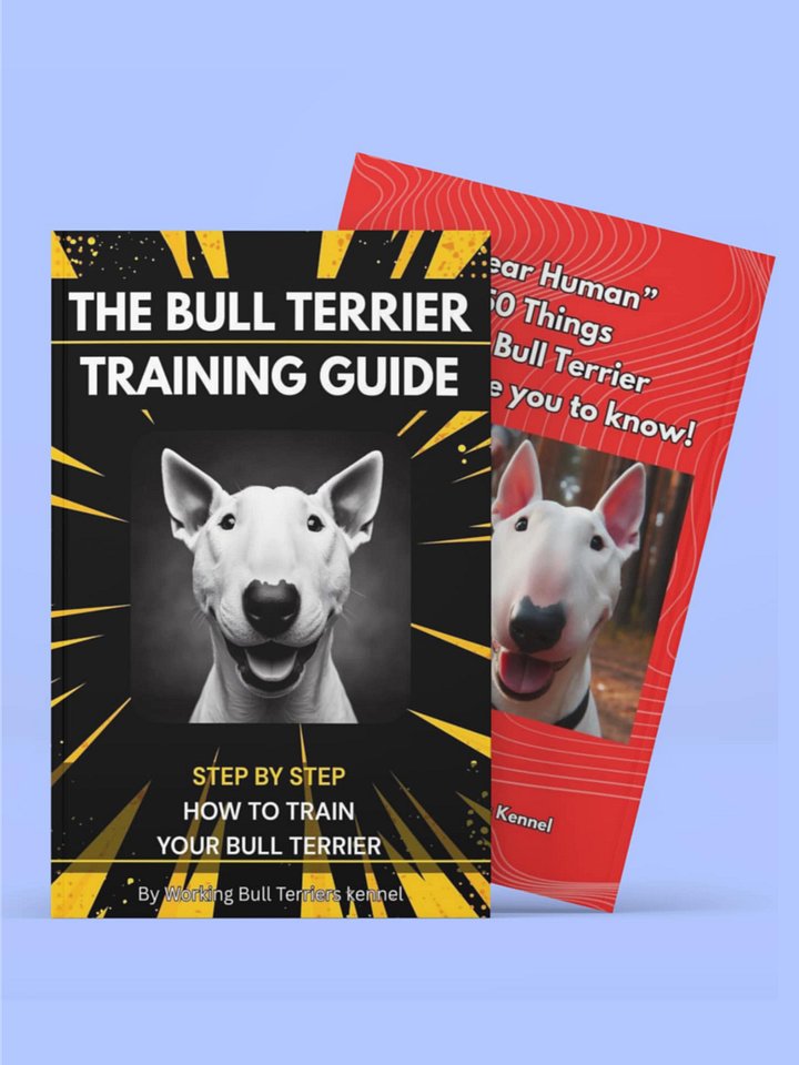 The Bull Terrier Training & Bond Pack product image (1)