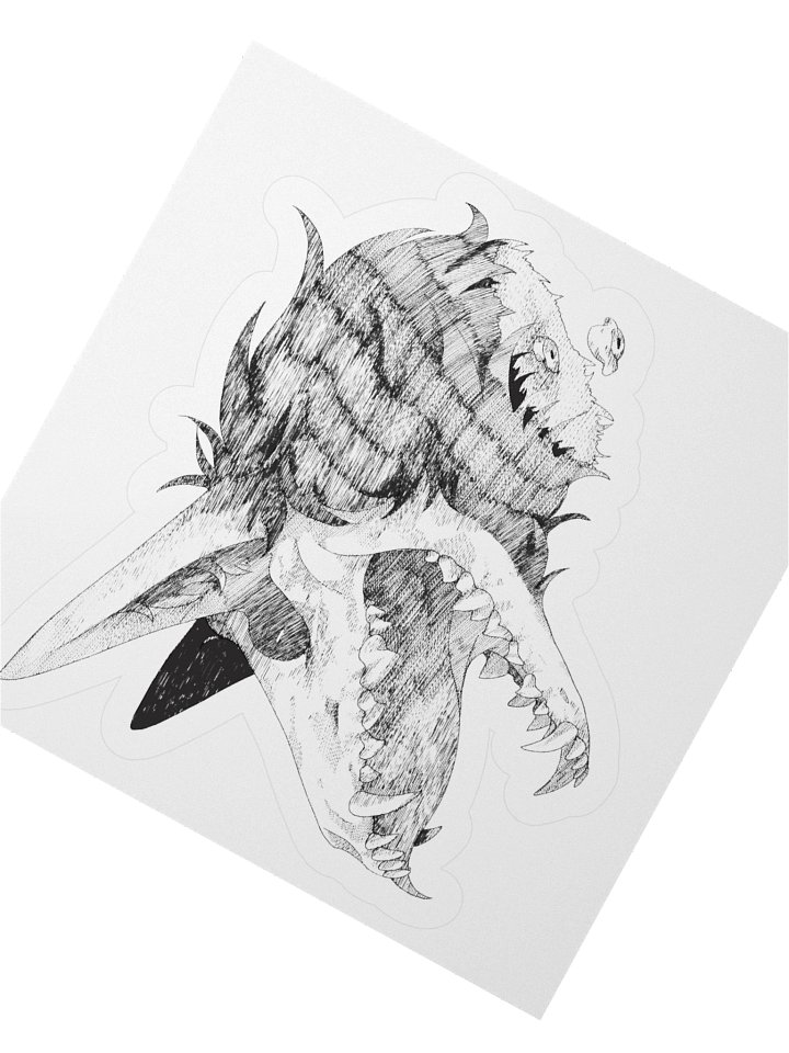 AUG // Headless product image (4)