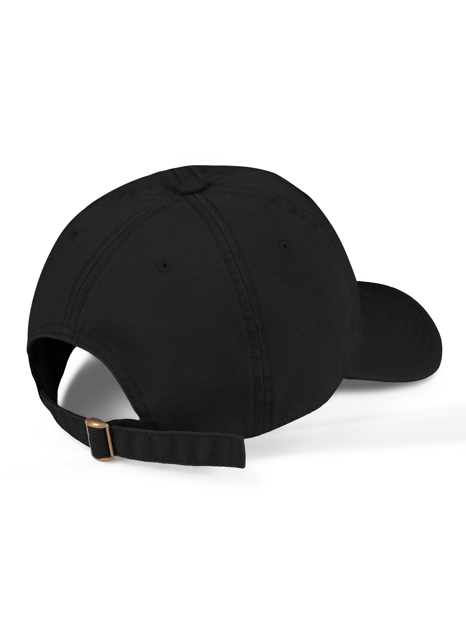 The [REDACTED] product image (3)