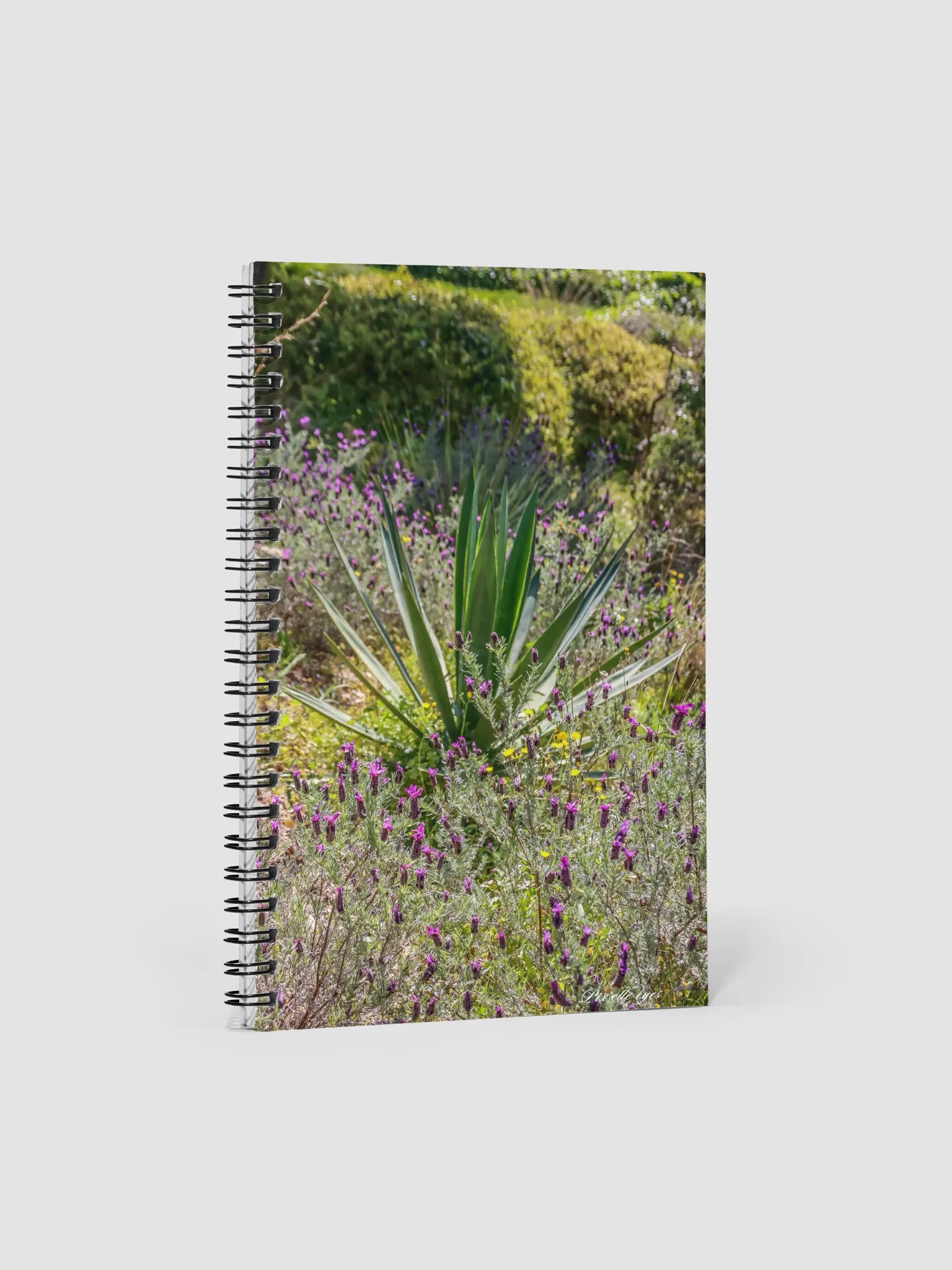 📓 Notebook Collection PURE – Jardin du Rayol – Lavande & Agave product image (1)