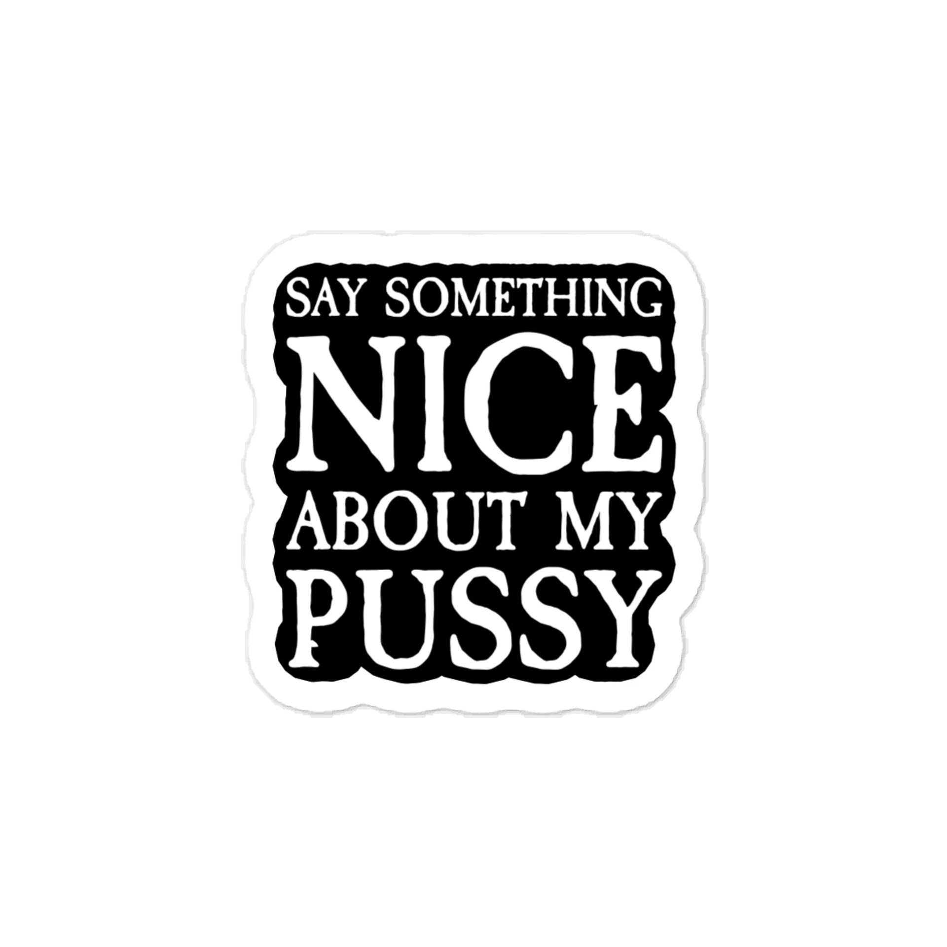 SAY SOMETHING NICE STICKER product image (1)