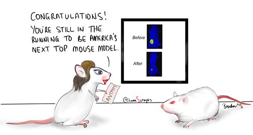 Meanwhile, on America’s Next Top Mouse Model 

#chemistry #biochemistry #medicinalchemistry #chem #chemistrymemes