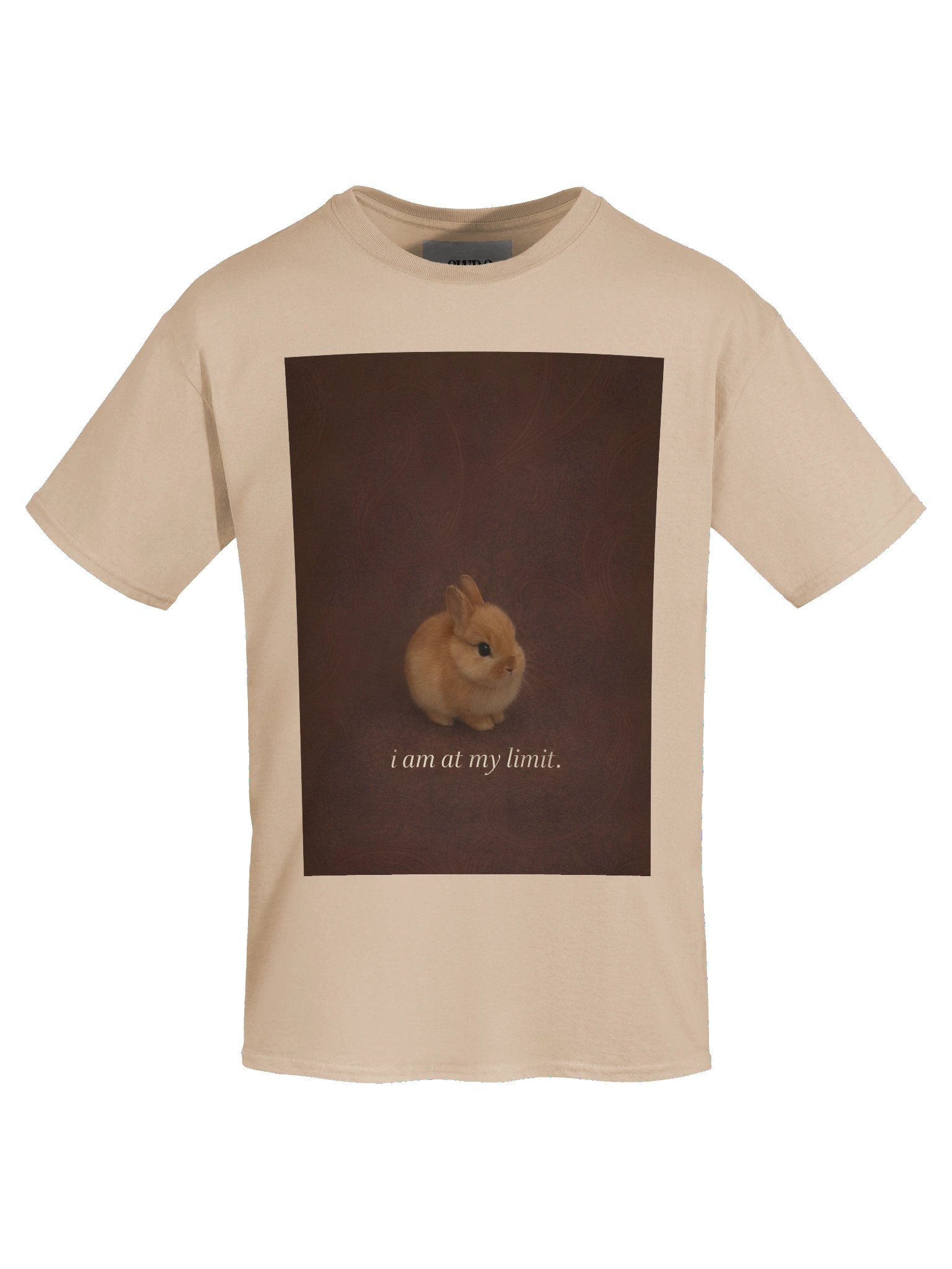 i am at my limit product image (7)