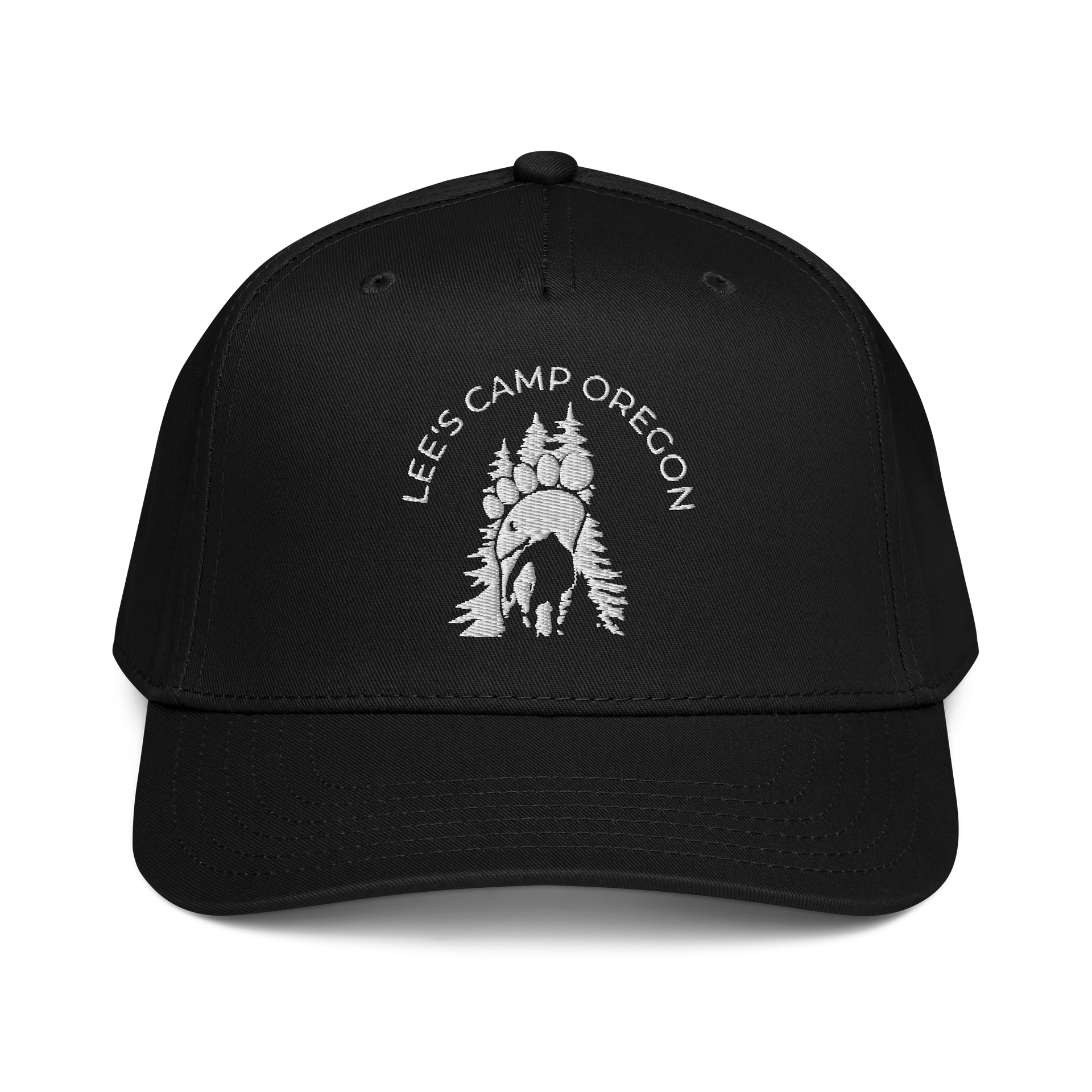 Logo Snap Back Baseball Hat product image (1)