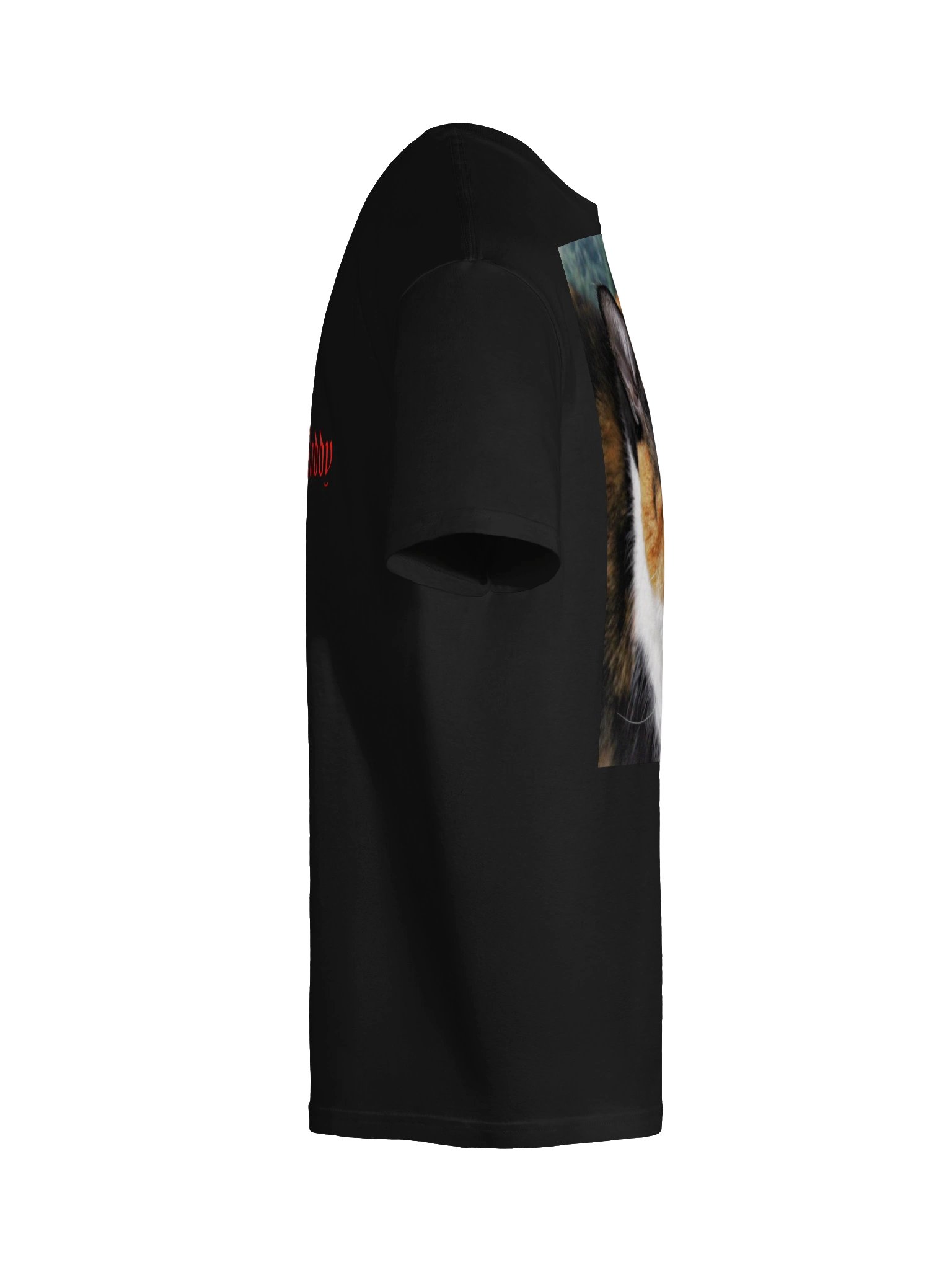 Captain Noodle Shirt product image (10)