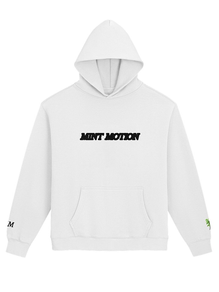 Mint Series Ultra-Soft Oversized Hoodie product image (1)