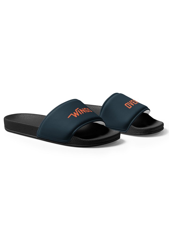 Wings Over Slides product image (2)