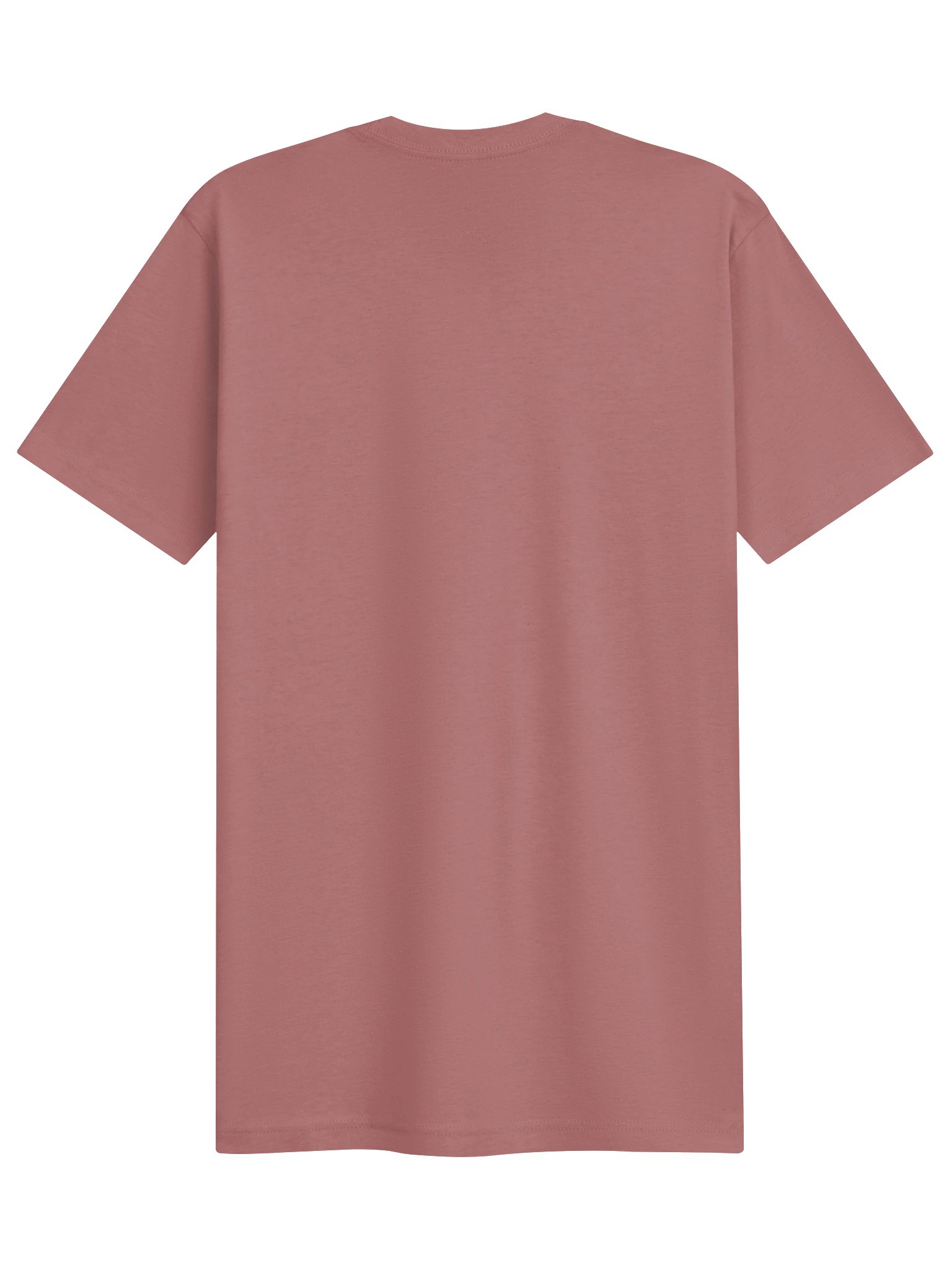 Lion of Judah — Revelation 5:5 Tee product image (26)
