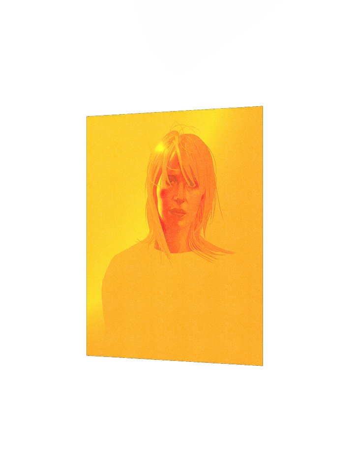 hayley williams print product image (2)