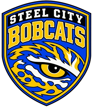 Steel city bobcats