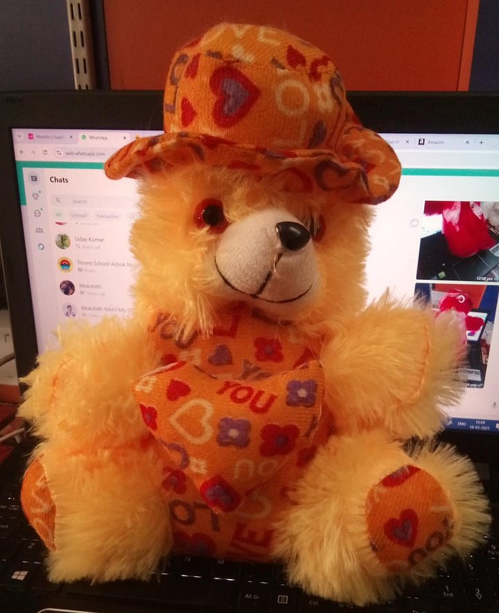 TEDDY BEAR product image (1)