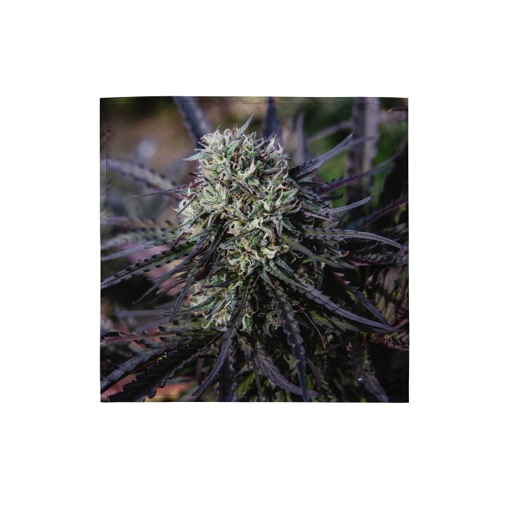 Royal Purple Cultivated Bandana product image (1)