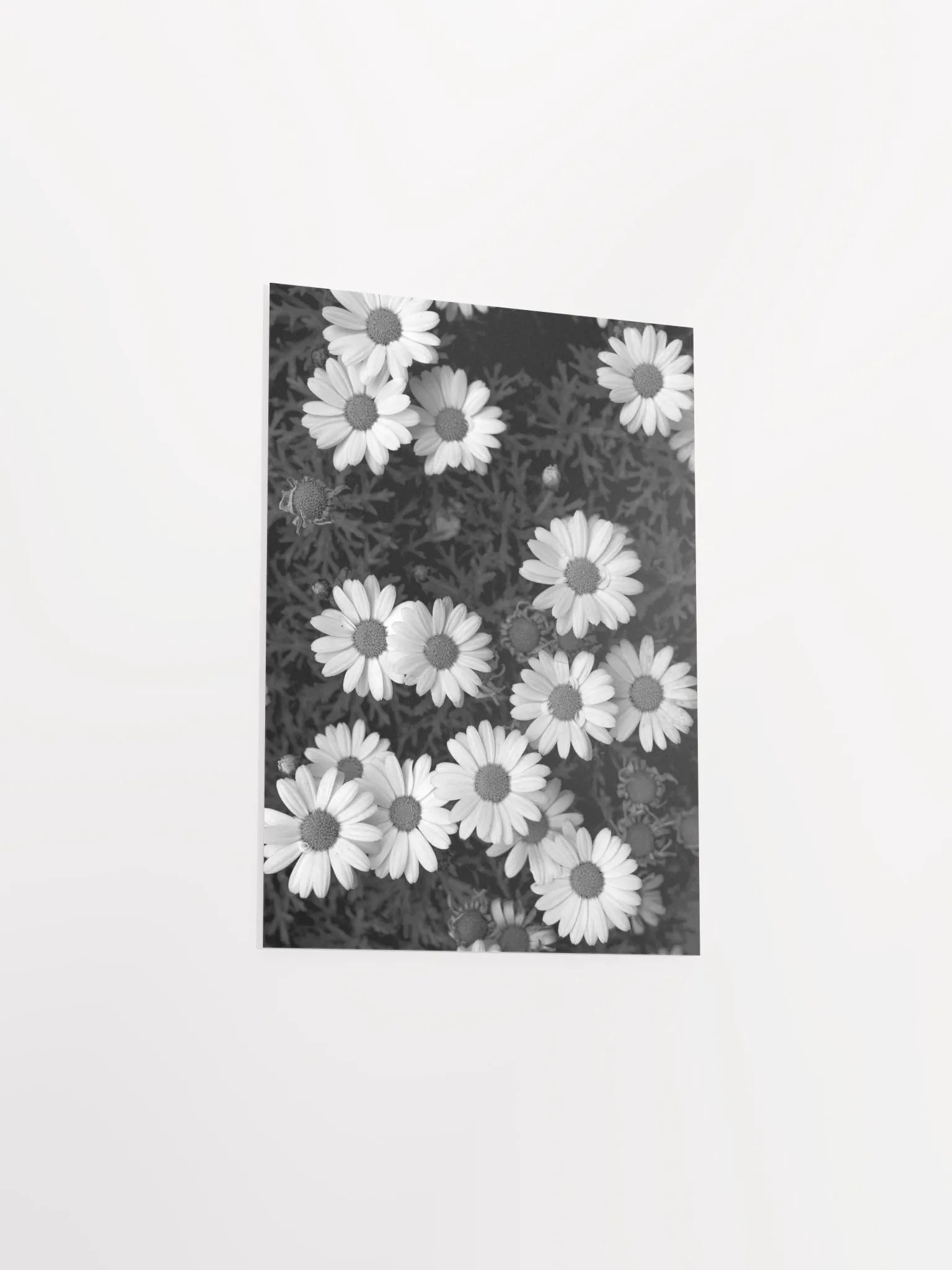 Margaritas - Enhanced Matte Paper Poster product image (3)