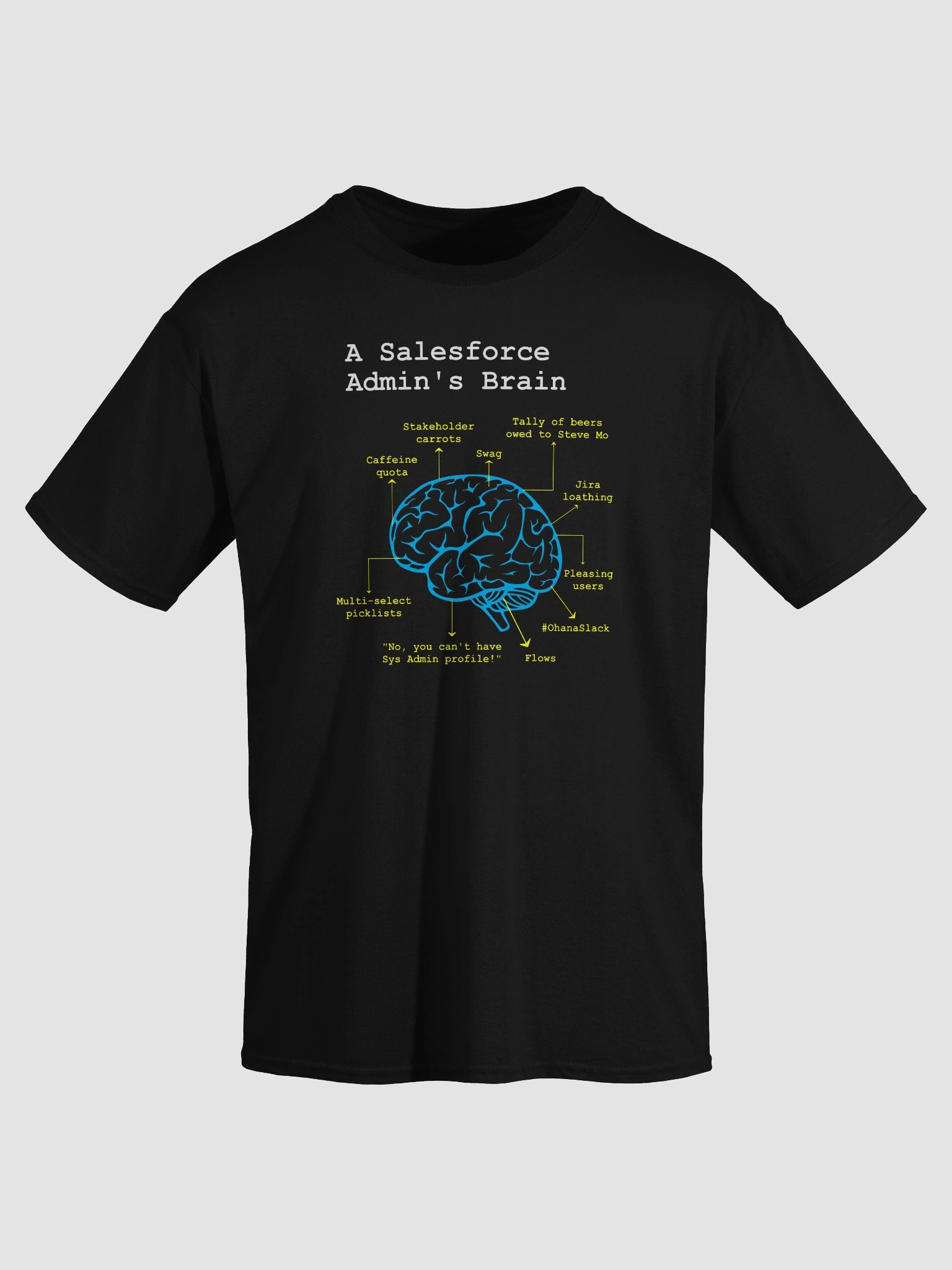 A Salesforce Admin’s Brain product image (19)