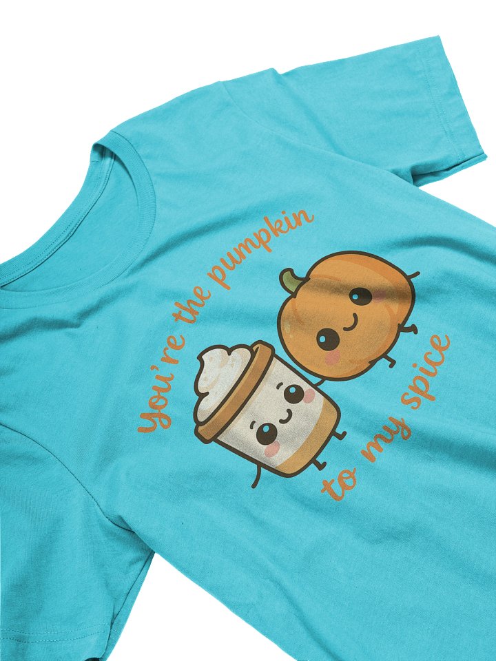 You're The Pumpkin To My Spice Tee Shirt product image (2)