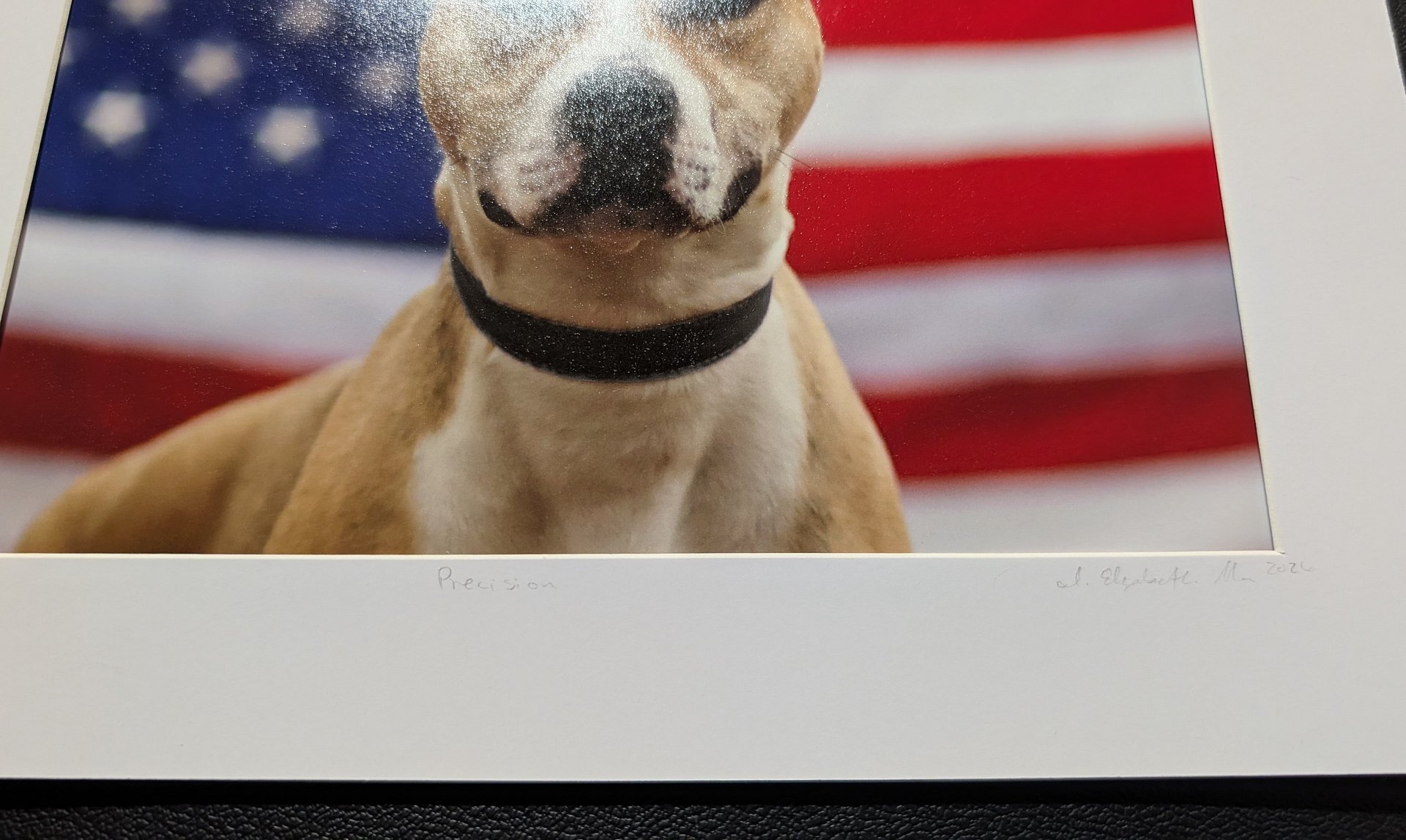 Precision Limited Edition Print – American Pit Bull Terrier USA Flag (Signed 5x7 matted 8x10) product image (3)