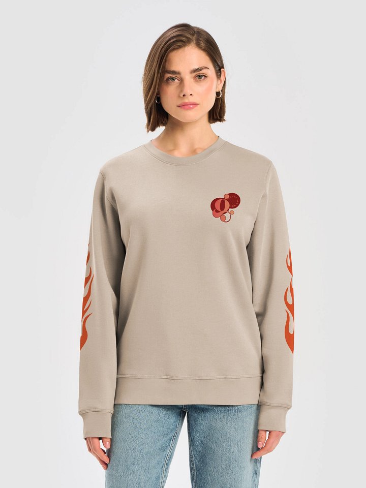 ''Gingers Are Hot'' Organic Sweatshirt product image (25)