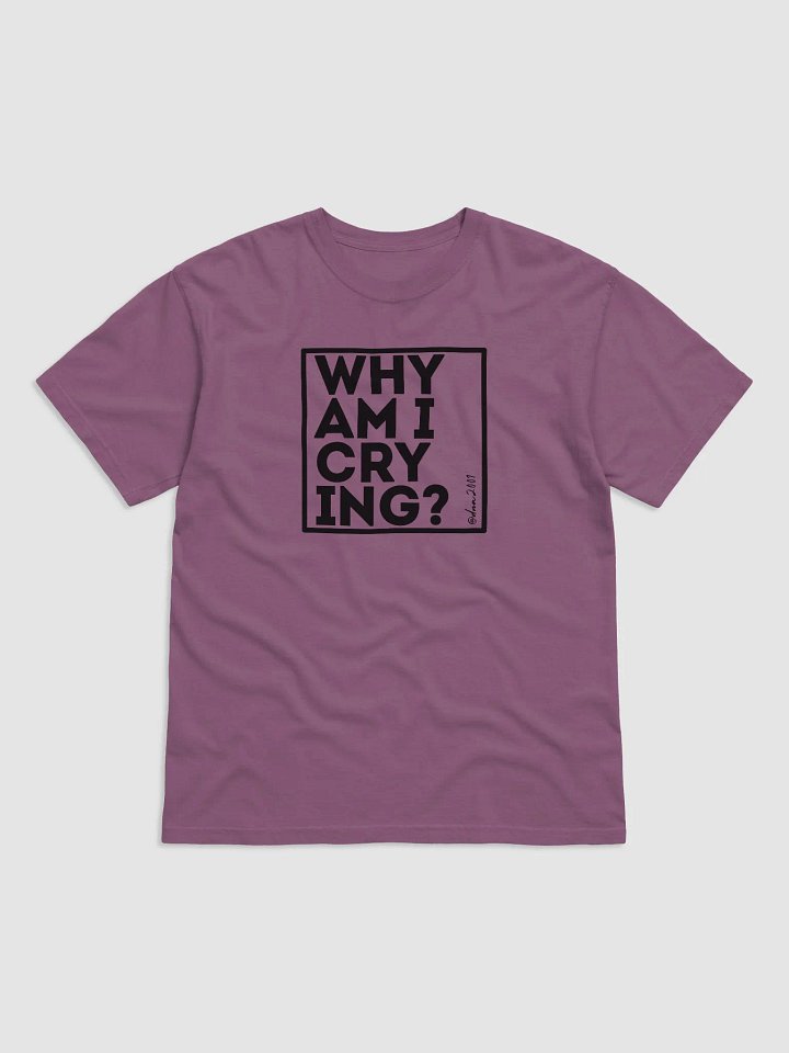 Why Am I Crying? product image (4)