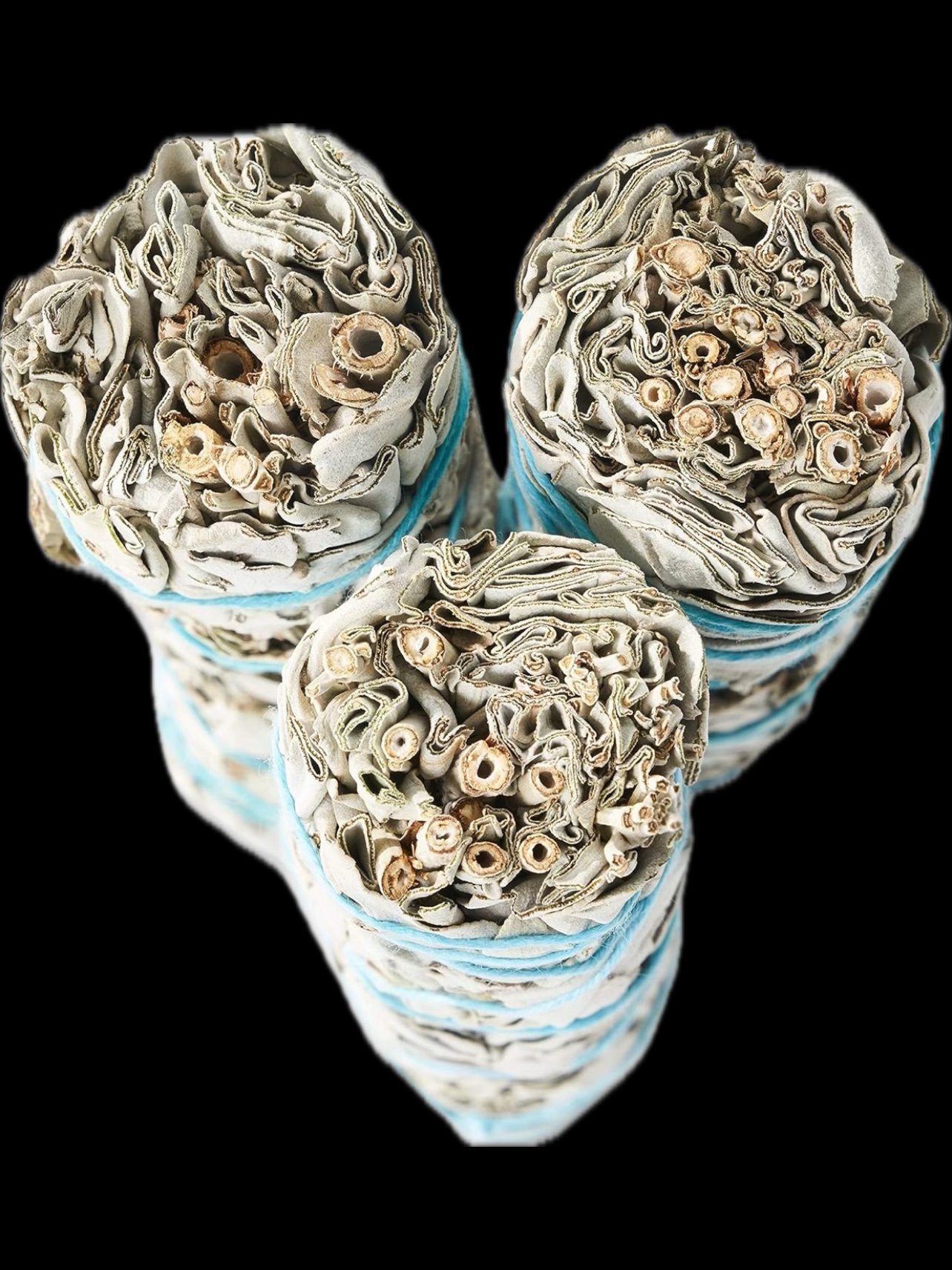 Esura's Jumbo Sage product image (2)