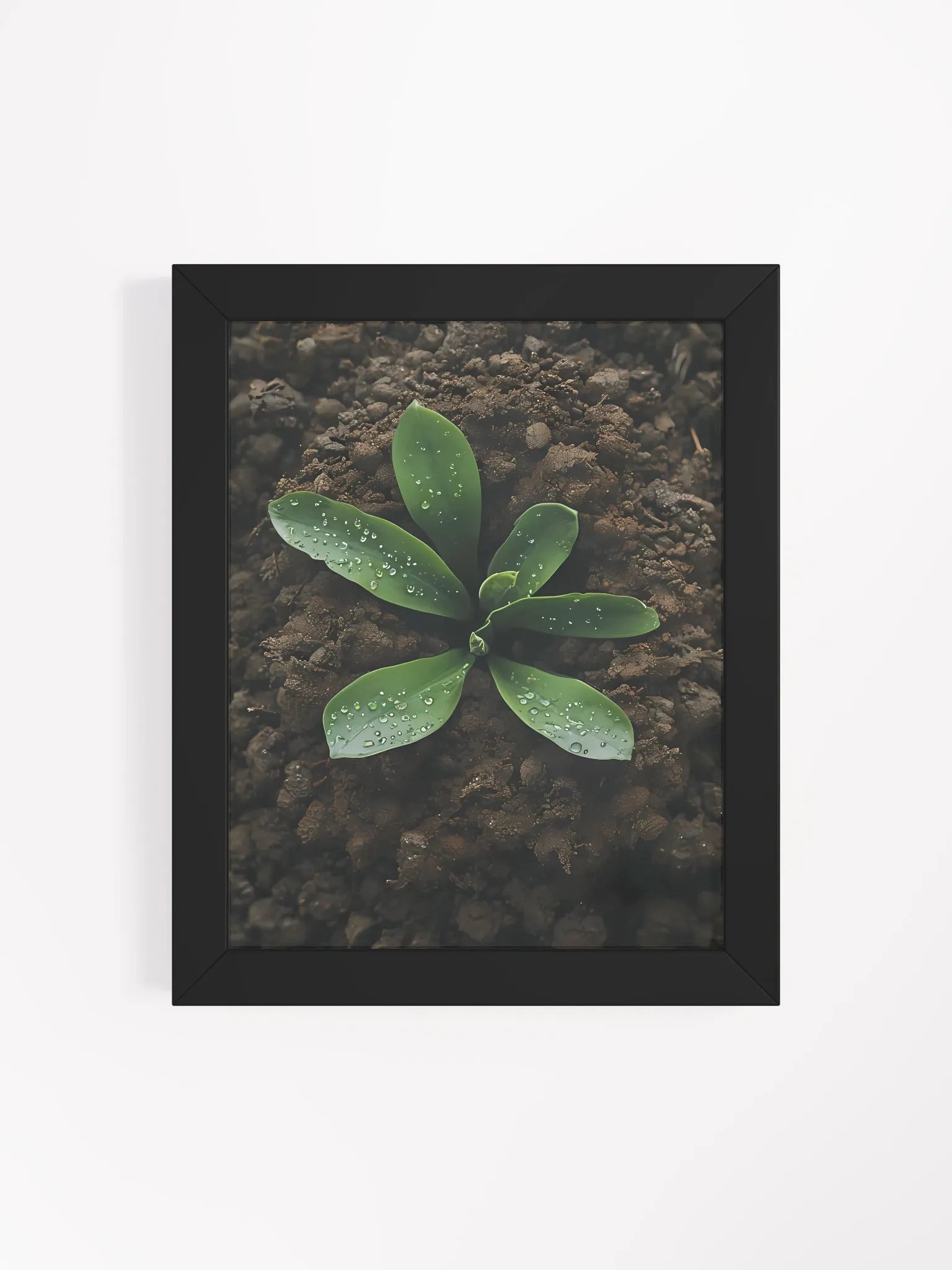 Dewy Greenery Framed Matte Poster product image (5)