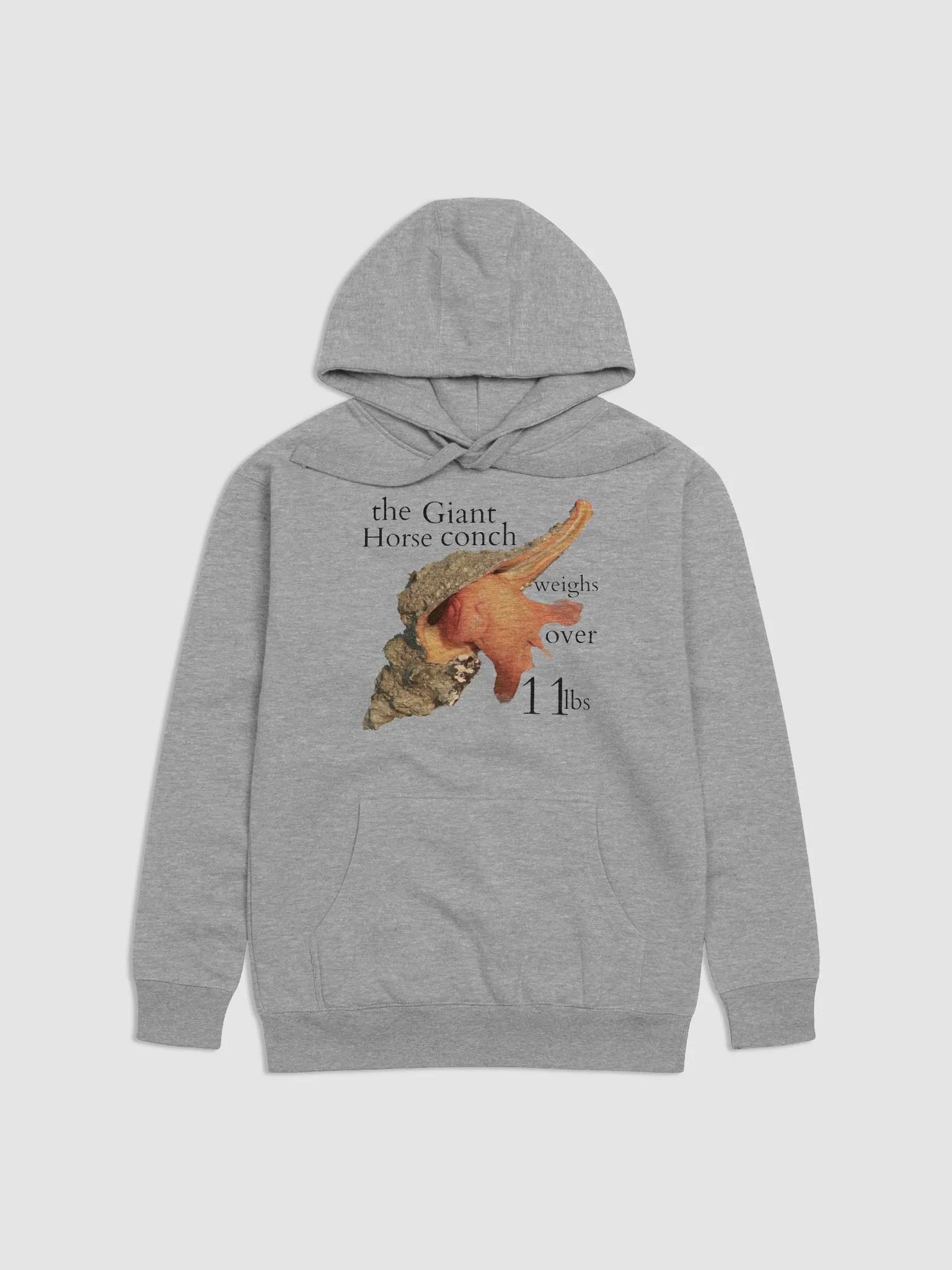 Horse Conch product image (3)