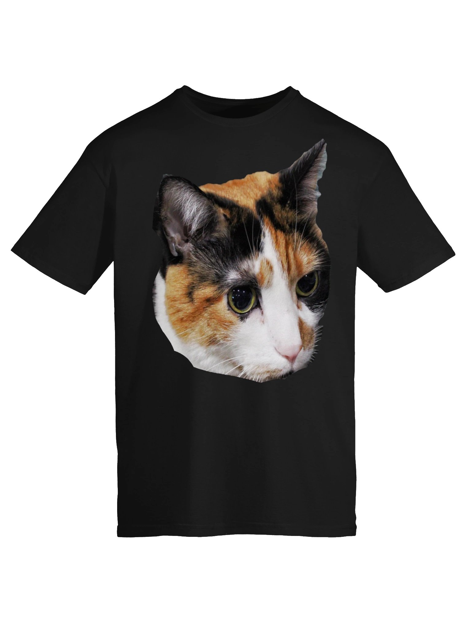 Captain Noodle Shirt product image (5)