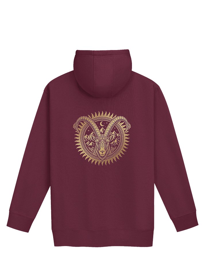 MEDALLION HOODIE product image (2)