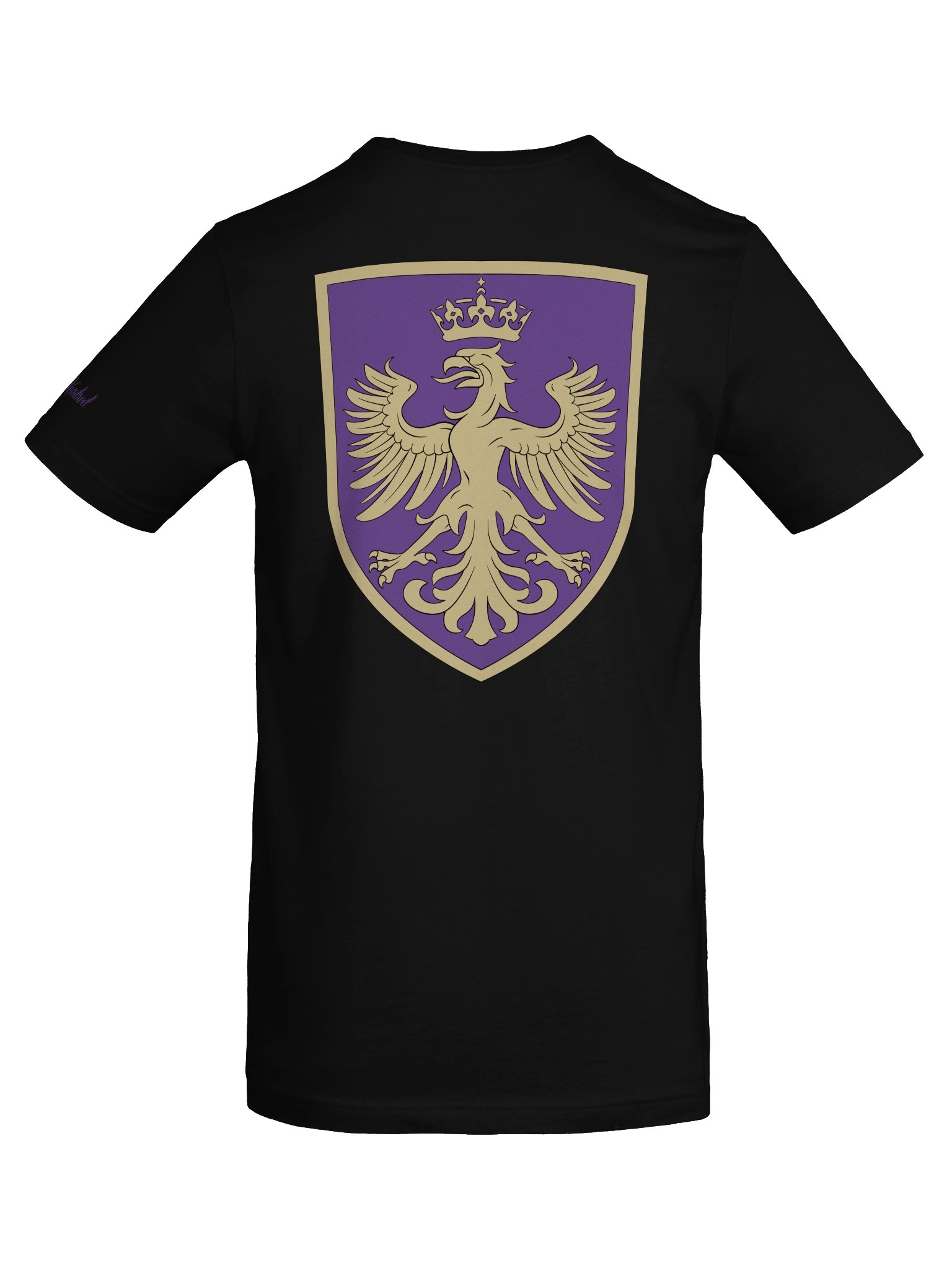 Court of Ambition T-Shirt product image (4)