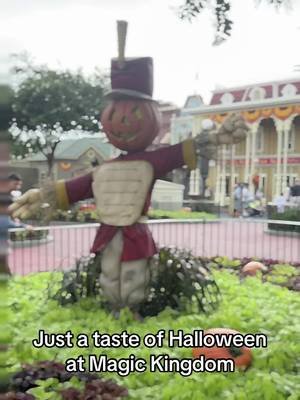 Just a touch of autumn enchantment - there’s so much more to take in so stay tuned. Don’t forget to follow for more! #magickingdom #halloween #wdwtiktok #traveltok #fyp