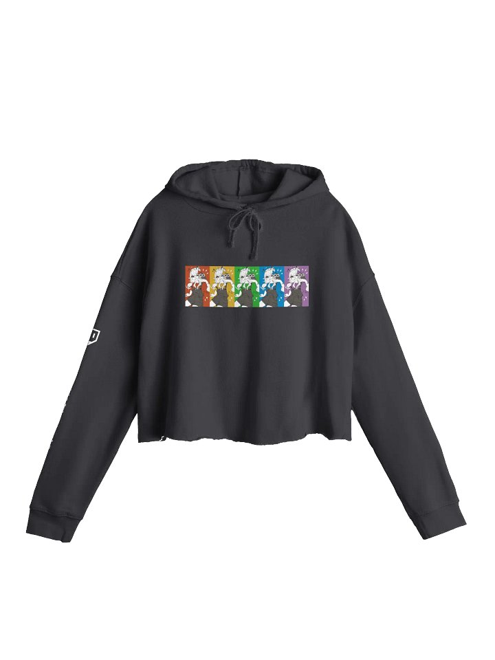Northern Saw-whet Owl Lightweight Crop Hoodie - Rainbow (Dark Colours) product image (1)