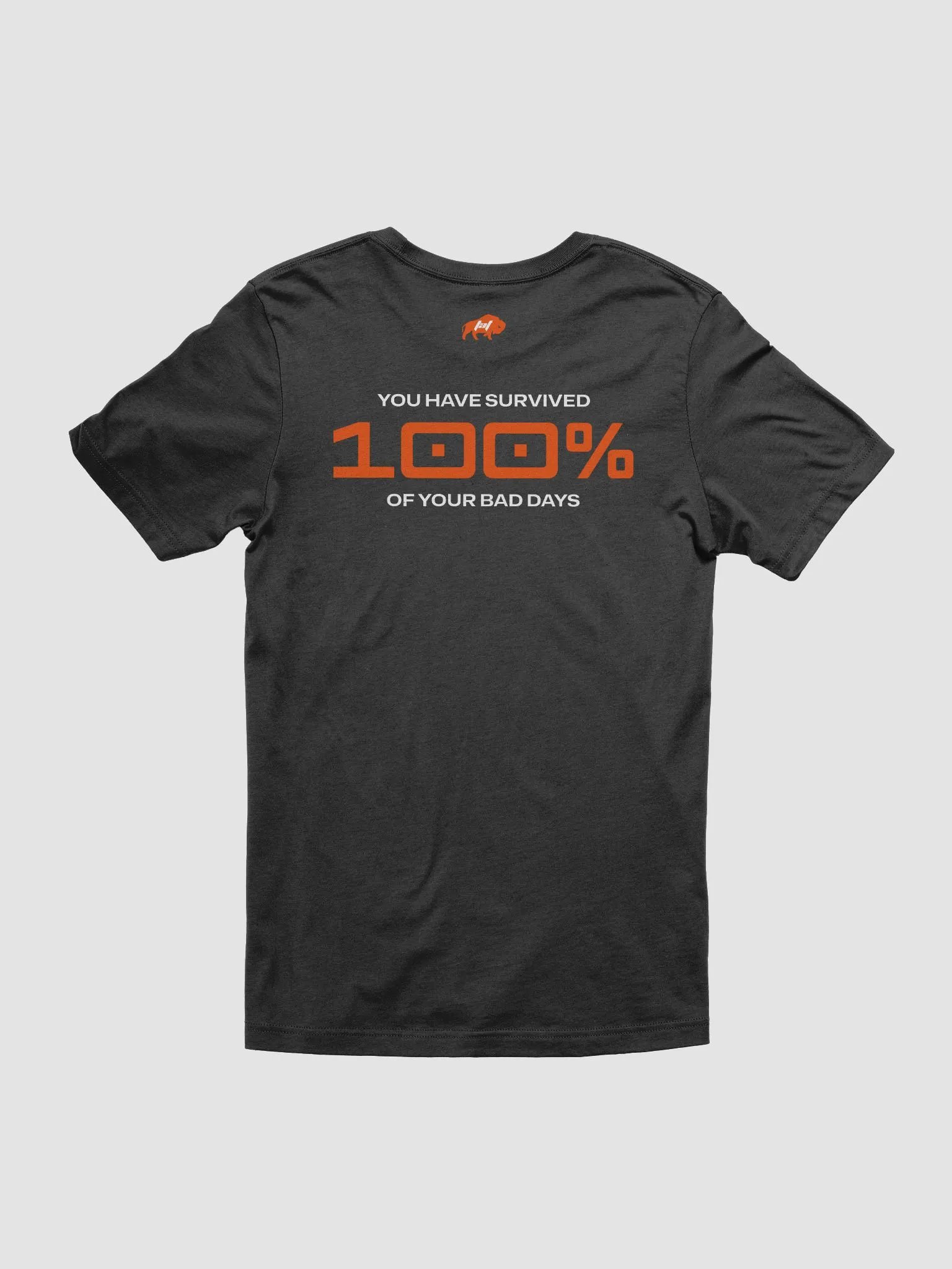 You've Survived Tshirt product image (103)