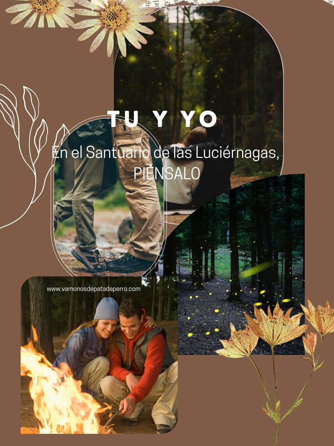 PAQUETE 3 - RUTA DEL PULQUE + SANTUARIO DE LAS LUCIÉRNAGAS ✨🌙 ( 1 DIA ) product image (6)