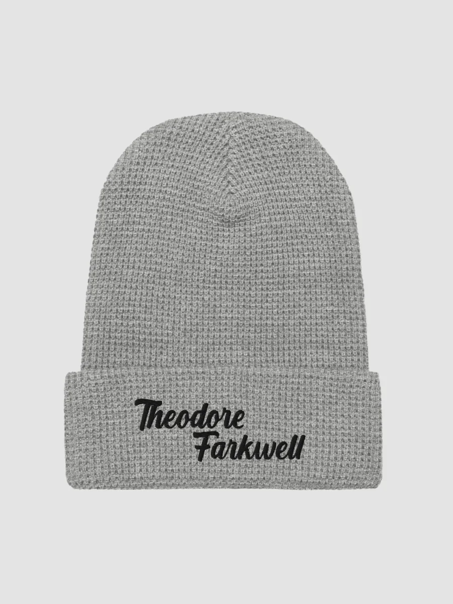 THEODORE FARKWELL BEANIE product image (3)