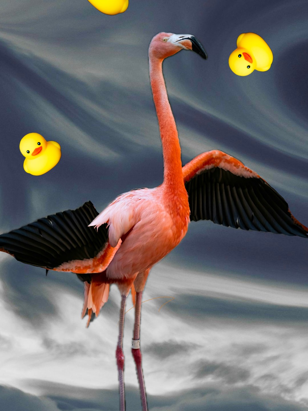 A Collection of Unhinged Digital Downloads product image (4)