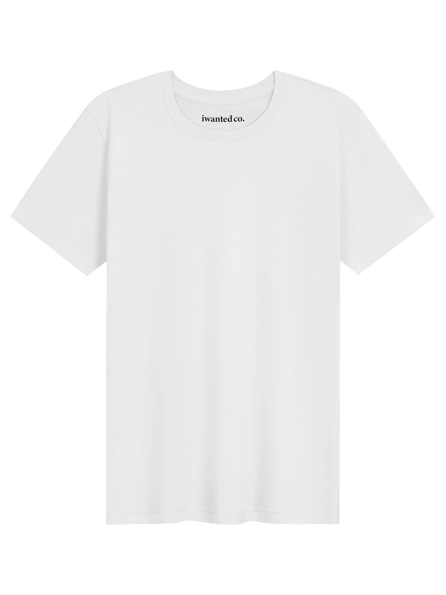 I’m the Fun Friend With Terms & Conditions product image (3)
