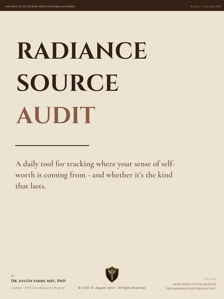 Radiance Source Audit product image (1)