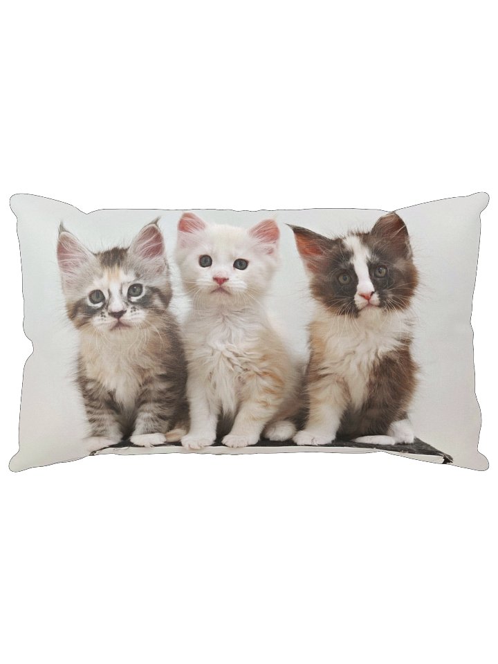 Ada's Kittens - Pillow product image (1)