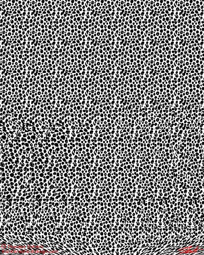 Wild Stereogram on the run. Can you see it?