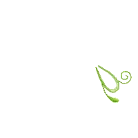 Saree Line flower product image (2)