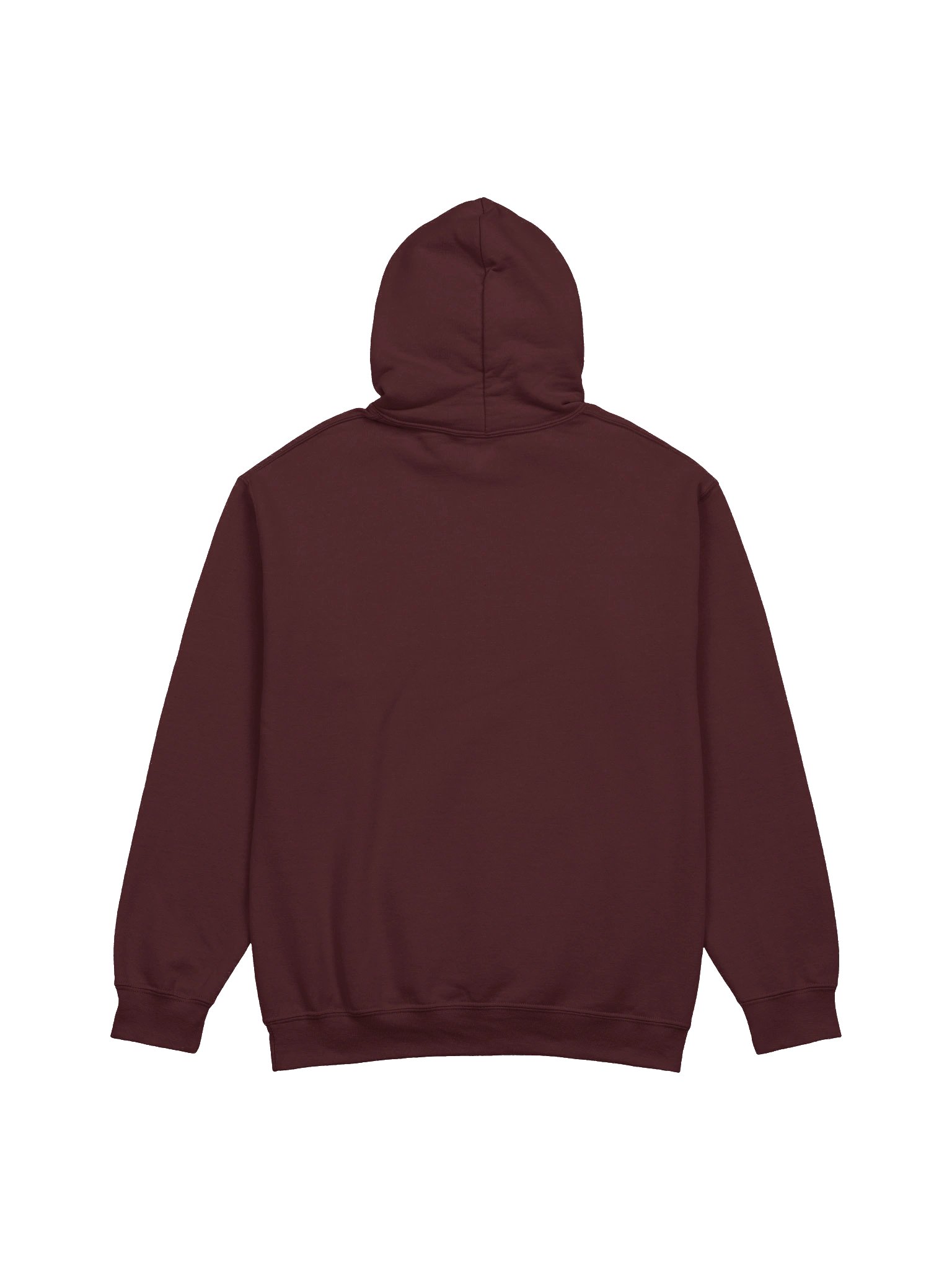 The B.S.ing With The Guys Show Hoodie product image (6)
